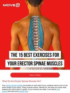 Your spine’s secret weapon…