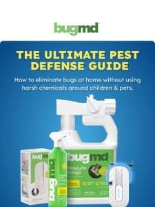 Your ultimate pest defence guide